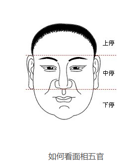 如何看面相算命图解