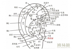 耳朵上长痣代表什么（耳朵旁边痣相图解大全）